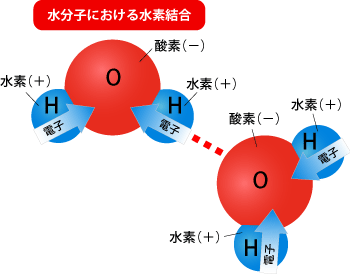 図2