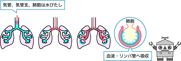 図1