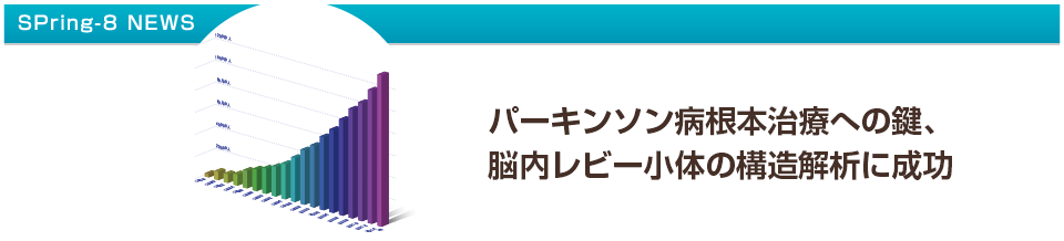 パーキンソン病根本治療への鍵、脳内レビー小体の構造解析に成功